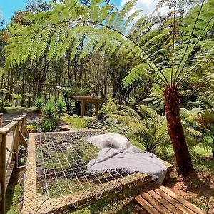 Anjos Da Serra Urubici